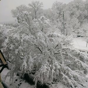 Meet your Posher, Ashrid